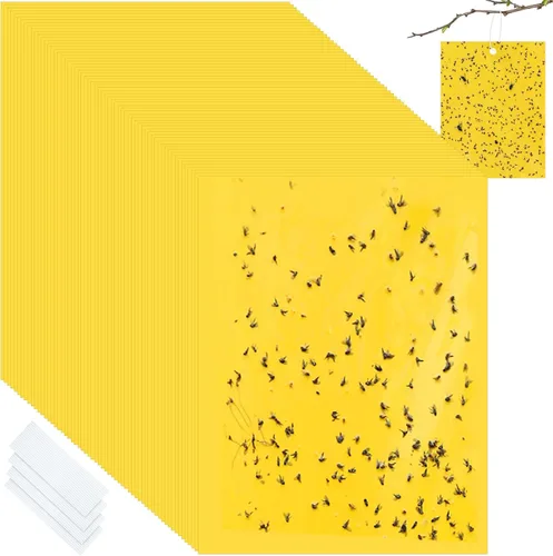 Qualirey 50 trampas adhesivas de 6 x 8 pulgadas para plantas, trampas adhesivas de doble cara para mosquitos con lazos giratorios, trampas para