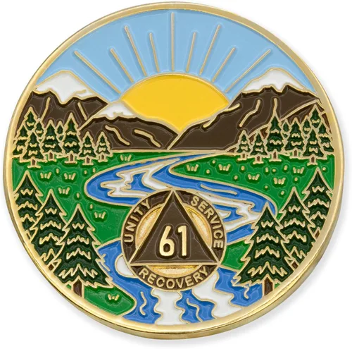 Vista 45 de Moneda AA de 1 año – Medallón de recuperación de ondas estrelladas de Sobriety Mint – azul/blanco/dorado