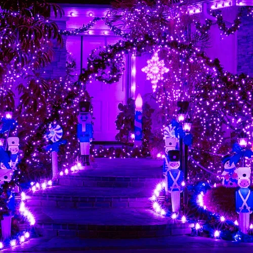 Vista 4 de JMEXSUSS Guirnalda de 250 luces LED de Halloween/250 luces LED moradas de Halloween