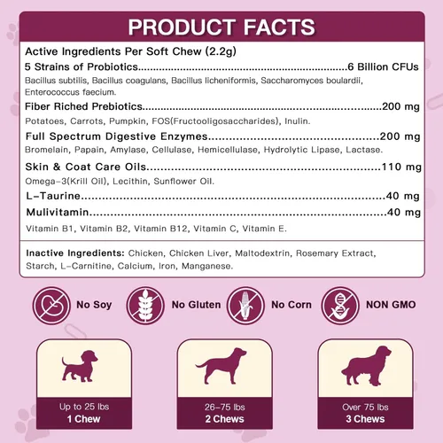 Vista 5 de Probióticos para perros, probióticos para perros para la salud digestiva, 6 mil millones de UFC, con prebióticos y enzimas digestivas, calabaza