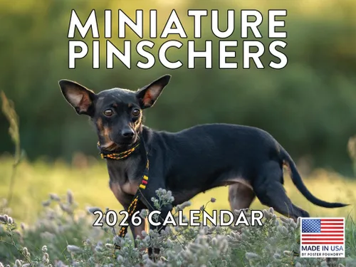 Vista 205 de Calendario de pared mensual 2025 Great Dane de 12 meses, fabricado en Estados Unidos