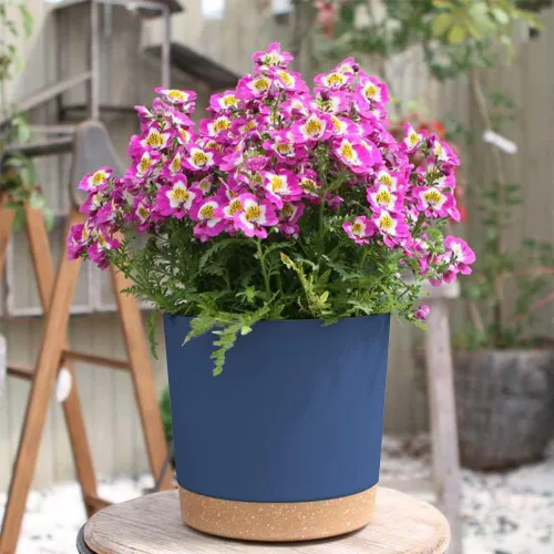 Vista 5 de ZMTECH Macetas para plantas, juego de 6 macetas de plástico de riego automático de 6.5 pulgadas con orificio de drenaje y platillo, maceta