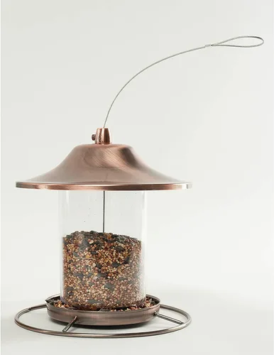 Vista 7 de Wagner's 53002 Farmer's Delight - Alimento para pájaros silvestres con sabor a cereza, bolsa de 10 libras