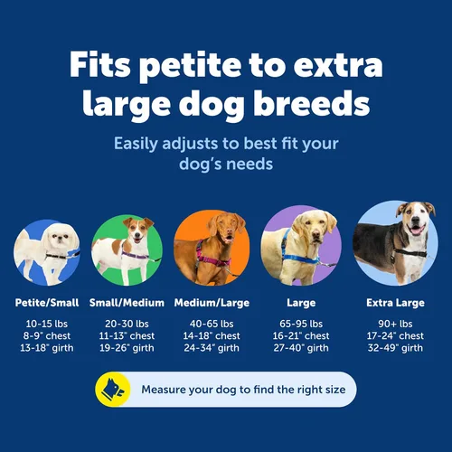 Vista 5 de PetSafe Arnés Easy Walk para perros, paseos sin tirar, diseño patentado de bucle Martingala, fijación de correa delantera en el pecho, correas