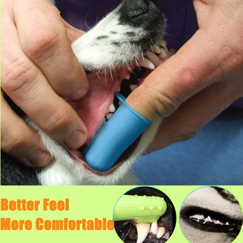 Vista 4 de Paquete de 10 cepillos de dientes para mascotas, 2 cepillos de dientes de triple cabeza para mascotas, 3 cepillos de dientes de doble cabeza