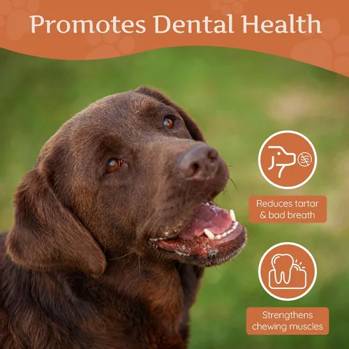 Vista 9 de Wildfang Raíz masticable de madera de brezo, grande – Juguetes masticables de madera sin astillas, para masticadores agresivos, juguetes naturales