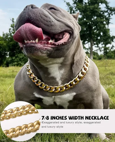 Vista 2 de Collar de perro de cadena dorada – Collar de perro de eslabones cubanos de metal de 7/8 pulgadas de ancho con cinturón de cuero, ligero protege