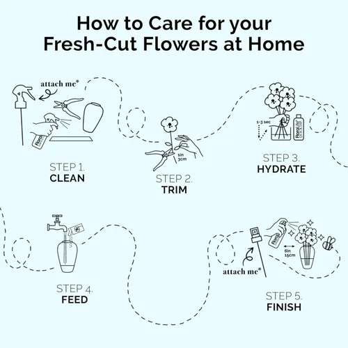 Vista 6 de FloraLife Fresh Cut Flower Food - Sachet Multi-Nutrientes & Solución de Hidratación - 25 Paquetes