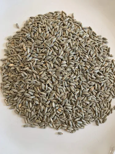 Vista 2 de North Georgia Still Company Kit de fermentación para Moonshine, whisky de centeno malteado, kit de puré de 5 galones