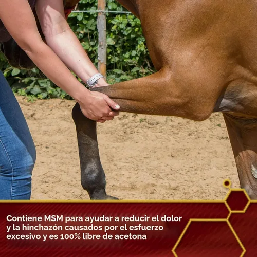 Vista 6 de Vita Flex Thermaflex Liniment Gel para dolores musculares y alivio articular en caballos, 12 onzas líquidas