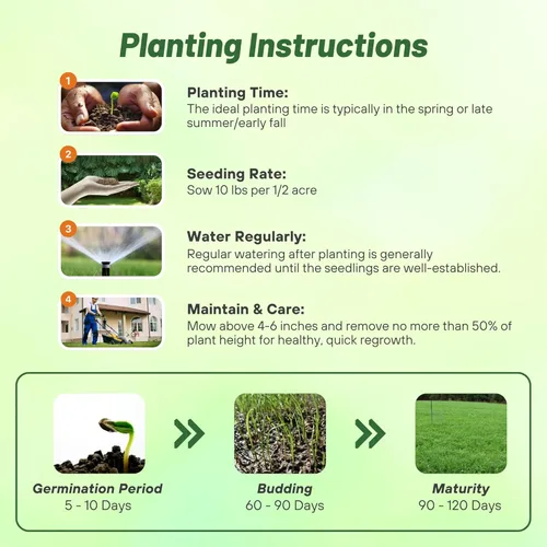 Vista 3 de Outsidepride Southern Sweet Spot Seed - Semillas anuales, versátiles, de rápido crecimiento y tolerantes a la sequía, semillas de parcela