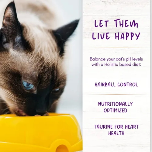 Vista 6 de Comida seca para gatos con caviar felino, libre de espíritu: pollo y salmón, ingrediente holístico limitado, sin granos, comida seca para gatos