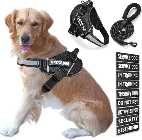 Vista 59 de Chaleco para Perro de Servicio, 9 Parches Arnés para Perro sin Tirones y Correa con Asa, Chaleco para Mascota Fácil de Poner y Quitar con Correas