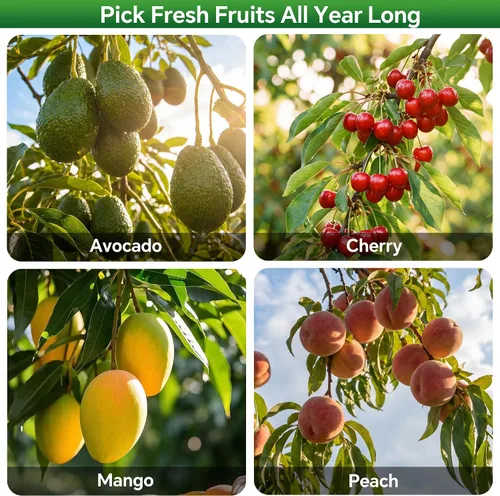 Vista 3 de Walensee Recolector de frutas de 5.5 pies, herramienta ajustable para recoger frutas con poste de acero inoxidable ligero y canasta grande,