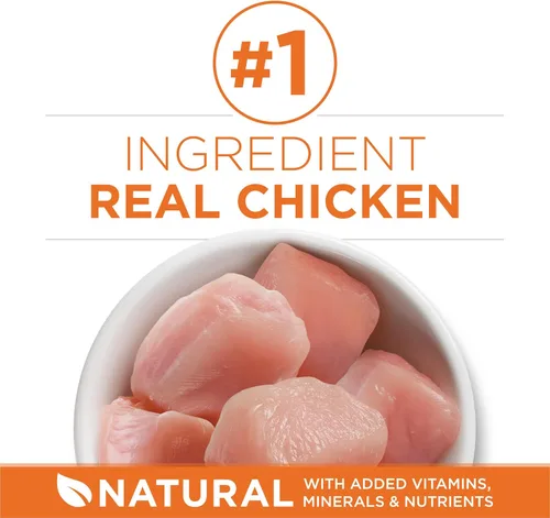 Vista 3 de Purina ONE Alimento seco para gatos con alto contenido de proteínas, fórmula de peso saludable Plus Peso ideal con pollo para control