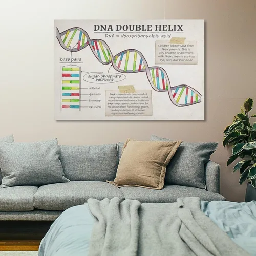 Vista 7 de Póster de biología con función celular de ADN, estructura celular, póster educativo para aula, póster artístico y arte de pared, decoración moderna
