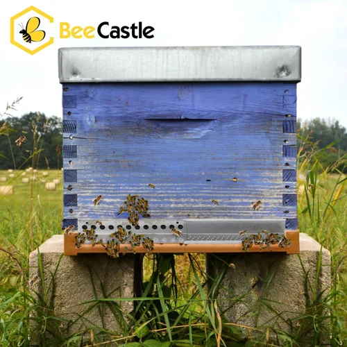 Vista 5 de BeeCastle 4 unidades reductor de entrada de colmena y protector de ratón, protectores deslizantes de ratón para colmena de abejas de 8 o 10 marcos