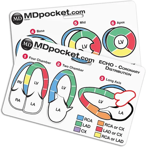 Identificación rápida - Ecocardiograma (horizontal)