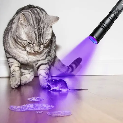 Vista 5 de Linterna UV 395nm Zoomable Batería de luz negra recargable 1 linterna ultravioleta recargable