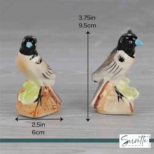 Vista 5 de Coctelera de cerámica para pájaros, salero y pimentero, decoración de cocina, pájaro retro