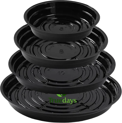 Vista 13 de TRUEDAYS Paquete de 5 platillos transparentes de 6 pulgadas, bandeja para macetas, excelente para plantas de interior y exterior