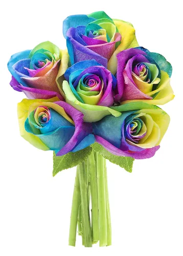 Vista 5 de KaBloom - Rosas arcoíris (media docena)- Flores frescas para cumpleaños, San Valentín y Día de la Madre
