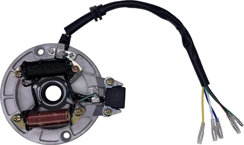 Estator Magneto de 2 bobinas de encendido compatible con 50cc 70cc 90cc 110cc 125cc Taotao Kazuma SSR Baja ATV Quad Kick Start Dirt Bike