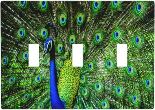 Vista 8 de Cubierta decorativa para toma de corriente de pavo real, cubierta de salida de 1 banda, cubierta de placa de interruptor de luz, placas