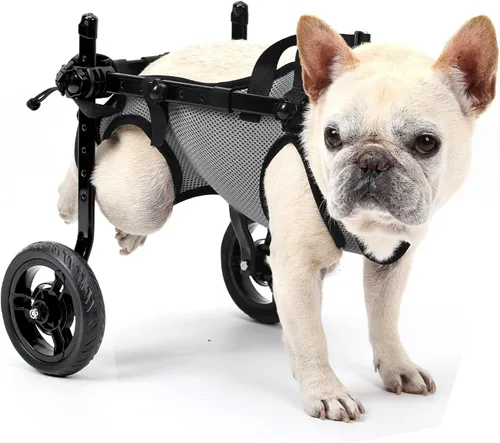 Dog Wheelchair for Back Legs, Light Weight Dog Wheelchair Cart with Disabled Hind Legs Walking, Adjustable