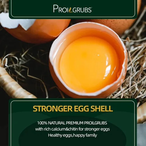 Vista 4 de PROILGRUBS Golosinas de proteína de 11 libras para pollos, todo natural, secado negro, larvas de mosca, gusanos secos para pollos, gallinas, pájaros