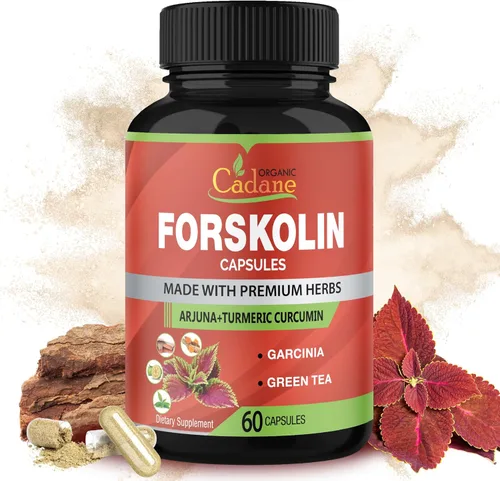 Forskolina Suplementos Cápsulas con cúrcuma curcumina, Arjuna, Garcinia Cambogia, Té Verde - 60 Cápsulas