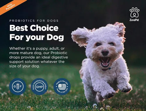 Vista 7 de Probióticos para perros – Probióticos para perros para la diarrea – Enzimas digestivas naturales para alivio de malestar estomacal + gases, salud