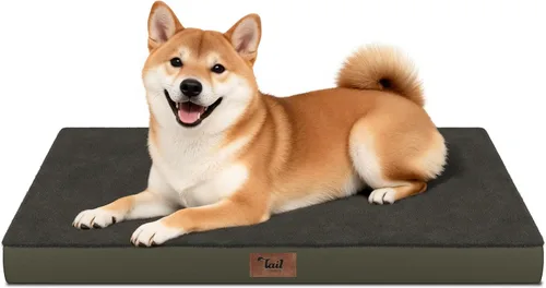 Vista 122 de Cama para perros y gatos pequeños, impermeable, para jaula de huevos, espuma ortopédica con funda Oxford lavable y extraíble, color verde Amy