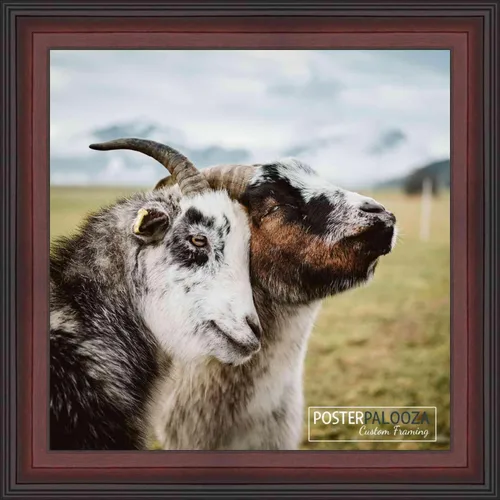 Vista 5 de Poster Palooza 3x3 Inch Contemporary Mahogany Complete Wood Square Picture Frame with UV Acrylic Plexiglass, Foam Board Backing & Hardware Included