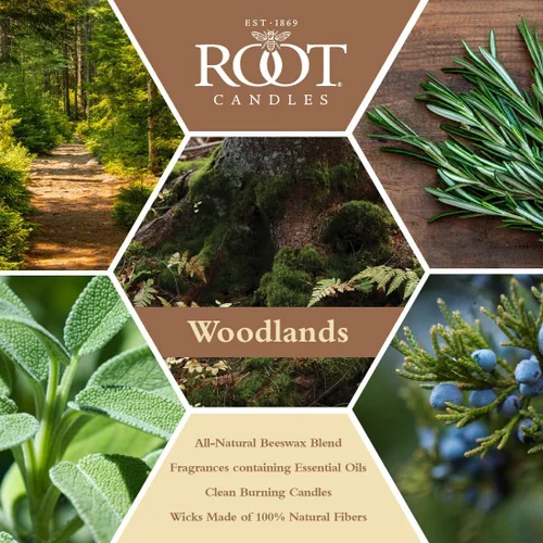 Vista 2 de Root Candles Velas perfumadas de otoño en lata de viaje, 24 horas, vela de mezcla de cera de abeja hecha a mano, 4 onzas, Woodlands