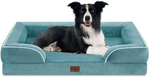 Vista 160 de Comfort Expression - Cama ortopédica para perros pequeños, 20 x 14 pulgadas, cama impermeable y de apoyo de espuma con cojines removibles, sofá