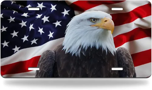 Placa de matrícula de la bandera estadounidense con águila calva, etiqueta de metal de aluminio para automóvil, símbolo patriótico nacional de