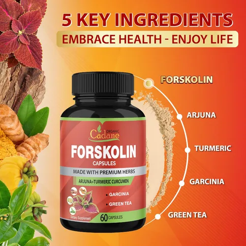 Vista 5 de Forskolina Suplementos Cápsulas con cúrcuma curcumina, Arjuna, Garcinia Cambogia, Té Verde - 60 Cápsulas