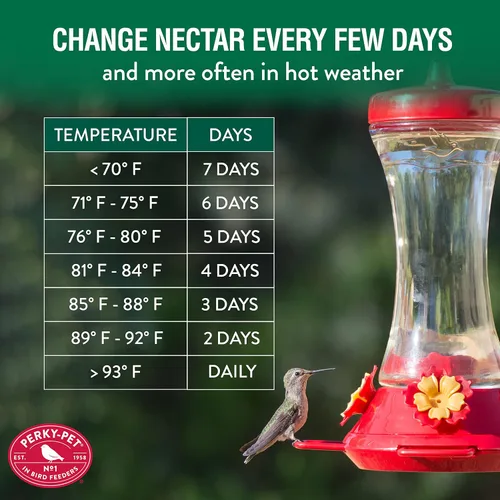 Vista 7 de Perky-Pet 476 Alimentador de colibrí de vidrio de 20 onzas
