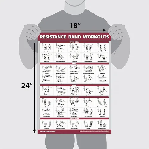 Vista 2 de Palace Learning QUICKFIT - Póster de ejercicios de entrenamiento con bandas de resistencia, doble cara (laminado, 18 x 24 pulgadas)