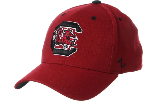Vista 80 de ZHATS - Sombrero ajustado elástico para hombre de la NCAA, color del