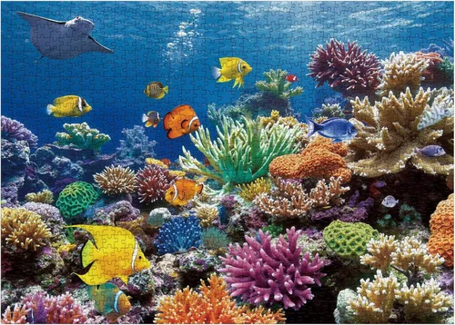 Vista 2 de Coloridos rompecabezas de peces de arrecife de coral del océano para adultos, 1000 piezas, hermoso rompecabezas de animales marinos, rompecabezas