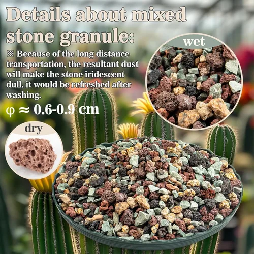 Vista 2 de Sukh Rocas Horticulturales para Suculentas de 2 Libras Mezcla de Bonsái Mezcla para Macetas de Suculentas Rocas de Lava Mezcla para Macetas