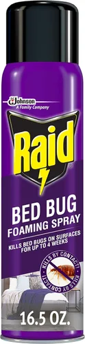 Raid Spray espumoso para chinches de cama, mata las chinches y sus huevos, para uso en interiores, no mancha, mantiene matando durante semanas, 16.5