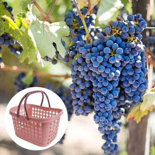 Vista 7 de Hemoton Cesta de la compra con asas Cestas de compras al por menor de plástico Cestas de compras apilables Cesta de almacenamiento de frutas