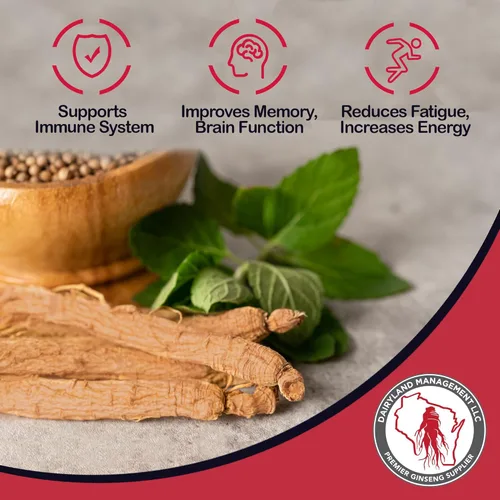 Vista 5 de Dairyland Cápsulas de ginseng rojo coreano Panax - 2000 mg de extracto concentrado de raíz de ginseng molido potente, sin rellenos, aglutinantes u