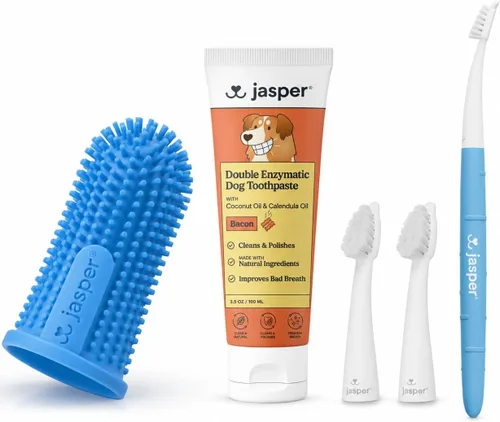 Jasper Complete Pet Dental Care Kit for Dogs & Cats, Microbrush Toothbrush, 2 Replaceable Heads, Double Enzymatic Bacon Dog Toothpaste 3.5oz & 360°