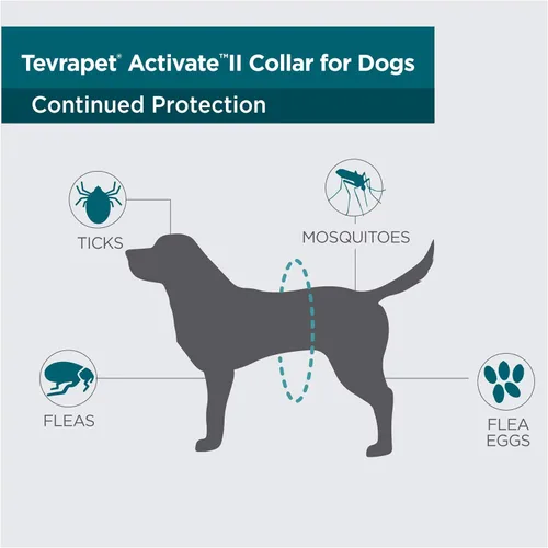 Vista 4 de TevraPet Activate II Collar antipulgas y garrapatas para perros, prevención de 12 meses, 2 unidades, para perros medianos y grandes