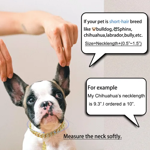 Vista 3 de Collar de oro para perro de 0.787 in, cadena de eslabones cubanos de circón, hecha a mano, diamante exagerado, dije de dólar de matón exagerado