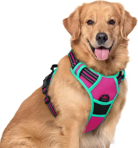 Vista 12 de Rabbitgoo - Arnés para perros sin tirón con 2 clips de correa, chaleco Oxford reflectante acolchado suave ajustable sin estrangulamiento